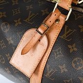 Сумка Louis Vuitton Keepall 50 LVKB-45